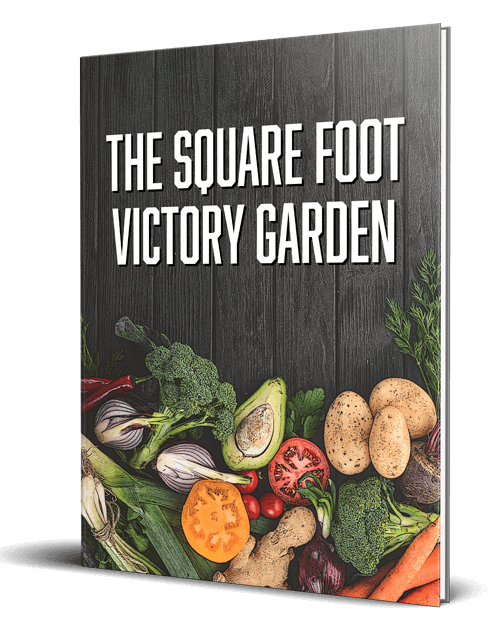 The Square Foot Victory Garden